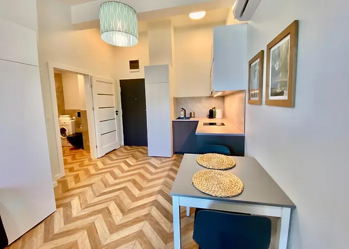 Apartment Mietowy - Centrum Poznanska